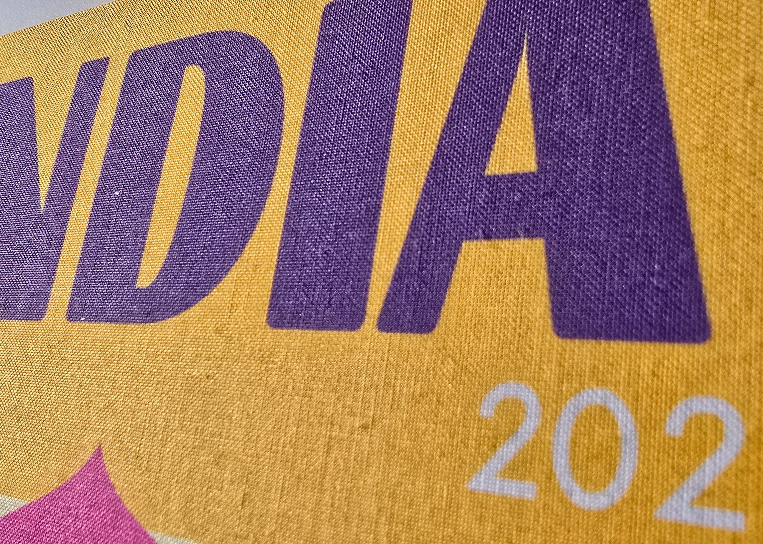 Text 'INDIA 2025' on a yellow background